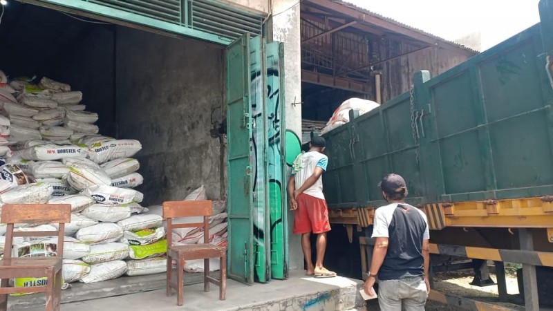 Petani Bawang di Brebes Curhat, Harga Turun Tetapi Pupuk Nonsubsidi Malah Naik