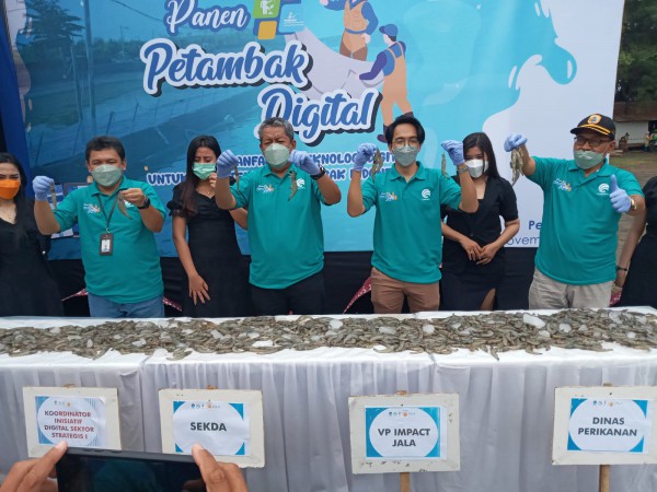 Kemkominfo Inisiasi Transformasi Digital Pada Panen Raya Petambak Udang di Pemalang