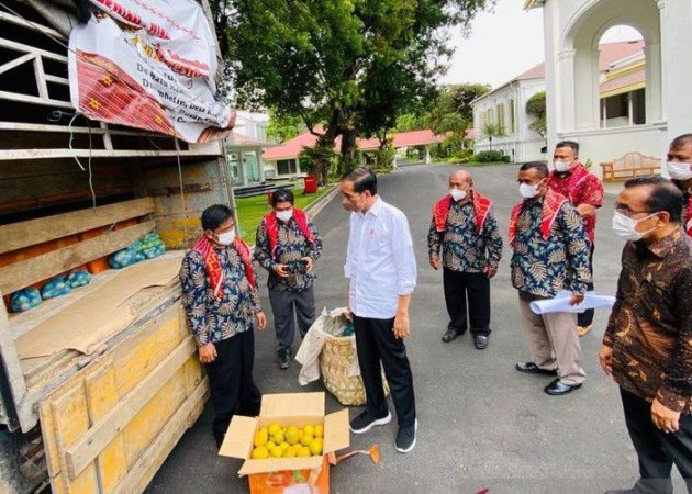 Jokowi Ditegur KPK soal 3 Ton Jeruk dari Petani, Ferdinand Hutahaean: Bentuk Kegenitan yang Tak Patut