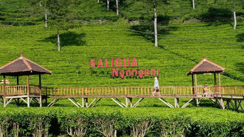 Tempat Wisata di Brebes Buka di Libur Tahun Baru, Ini Syaratnya