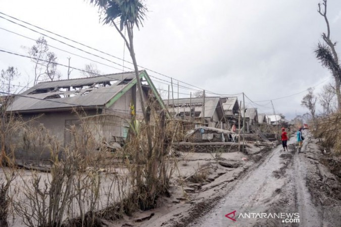 200 Hektare Lahan Pertanian di Lumajang, Jatim Puso Terendam Lahar dan Erupsi Gunung Semeru