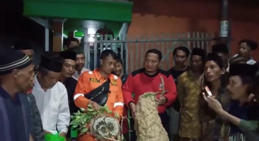 Juru Kunci Makam Tewas Diserang Tawon, Tiga Sarang Tawon Vespa Dimusnahkan Damkar