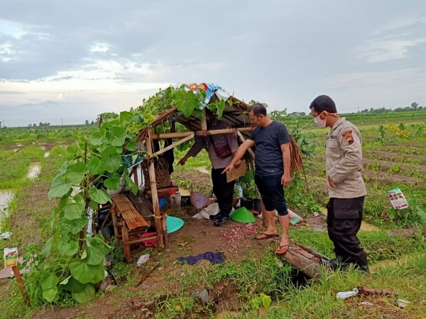 Berteduh Sambil Ngobrol di Gubuk, Empat Orang di Brebes Tersambar Petir, Dua Tewas Seketika