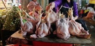 Jahat Banget! Ngejar Untung, Pasutri Jual Bakso dari Daging Ayam Tiren