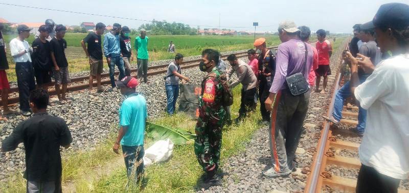 Pria Tua di Brebes Tewas Tertabrak Kereta saat Sedang Mencari Rumput