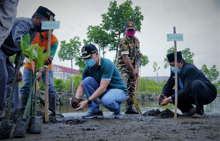 Cegah Abrasi di Pantura Kabupaten Tegal, Wabup Ardie Tanam 3.000 Mangrove