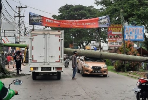 Jabodetabek Dilanda Angin Kencang, Pohon Roboh Bertumbangan Menimpa Mobil