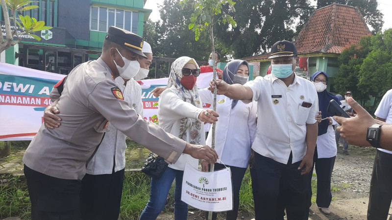 Peduli Lingkungan, Dewi Aryani Tanam 400 Pohon Trembesi di Adiwerna