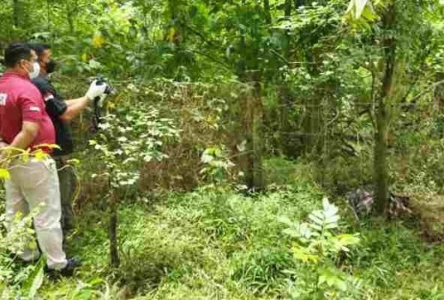 Jasad Wanita dalam Sarung Gegerkan Warga, Ditemukan Membusuk di Kolong Jembatan Tol