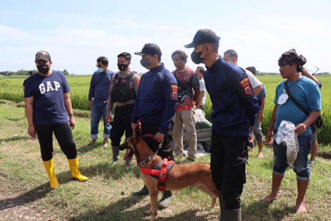 Pembunuh dan Pemutilasi Belum Tertangkap, Petani di Suradadi Trauma dan Ketakutan ke Sawah