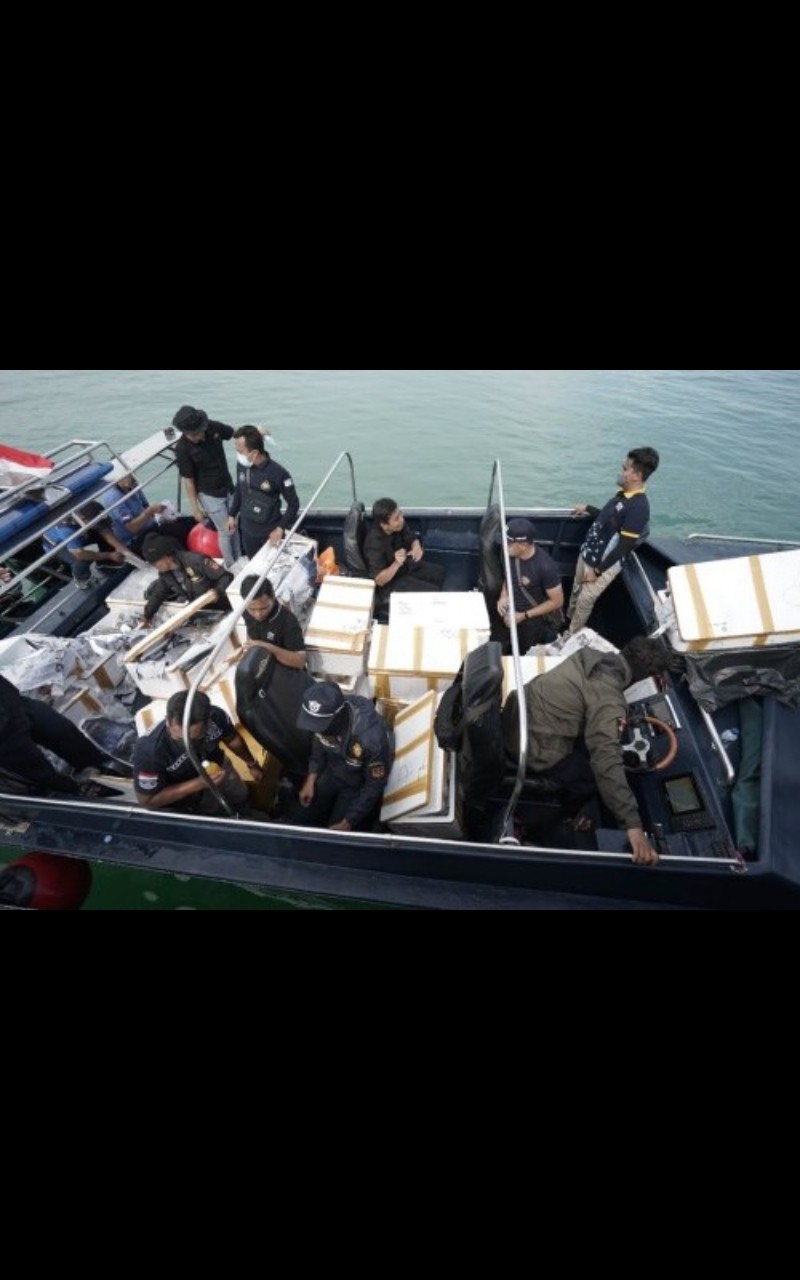 Penyelundupan Benih Lobster Senilai Rp14 Miliar Digagalkan Bea Cukai