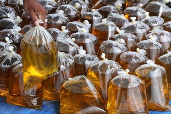 Penghasilan Sawit Besar, Larangan Total Ekspor CPO bak Menembak Diri Sendiri