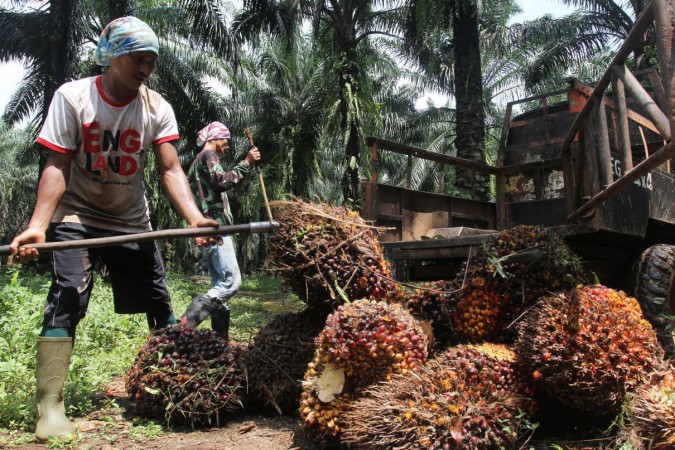 Jokowi Stop Ekspor Minyak Sawit, Harga Minyak Goreng Dunia Mulai Melambung Tinggi
