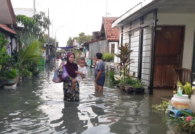 Banjir Rob Setinggi Lutut Orang Dewasa Rendam Ratusan Rumah di Pantura Kota Tegal