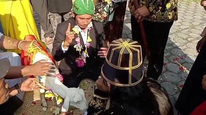 Konten Nikah dengan Kambing Viral, Kemenag: Uang Hasil Kontennya Haram, Nikah Bukan Lelucon