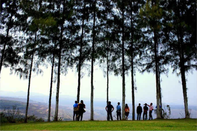 5 Wisata Hutan Pinus Instagramable di Jawa Tengah Buat Rileks