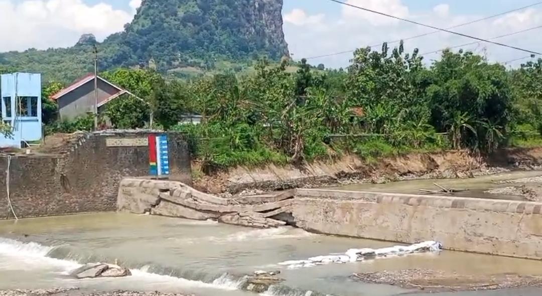 Bendung Cipero Tegal Jebol Lagi: 7.643 Hektare Sawah di Warureja & Suradadi Terancam Puso