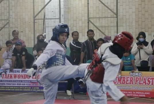 249 Atlet Taekwondo Pemalang Adu Jago di Kejurkab Bupati Cup 2023