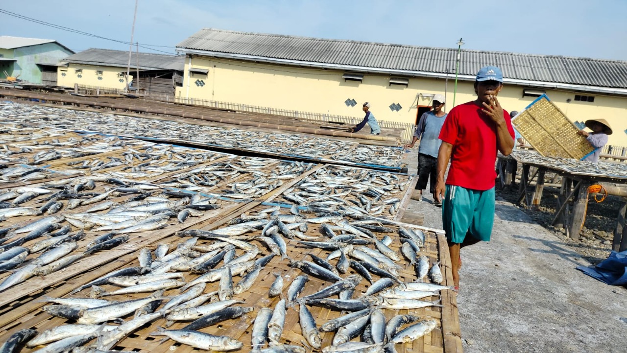 Cuaca Buruk, Harga Ikan Asin di Tegal Diprediksi Akan Naik