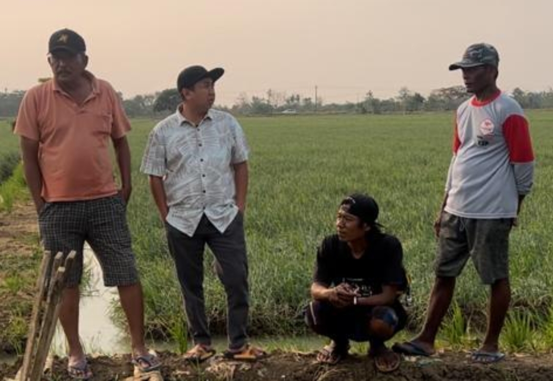 Kurang Pasokan Air, 980 Hektar Lahan Bawang Merah di 6 Kecamatan Terancam Gagal Panen