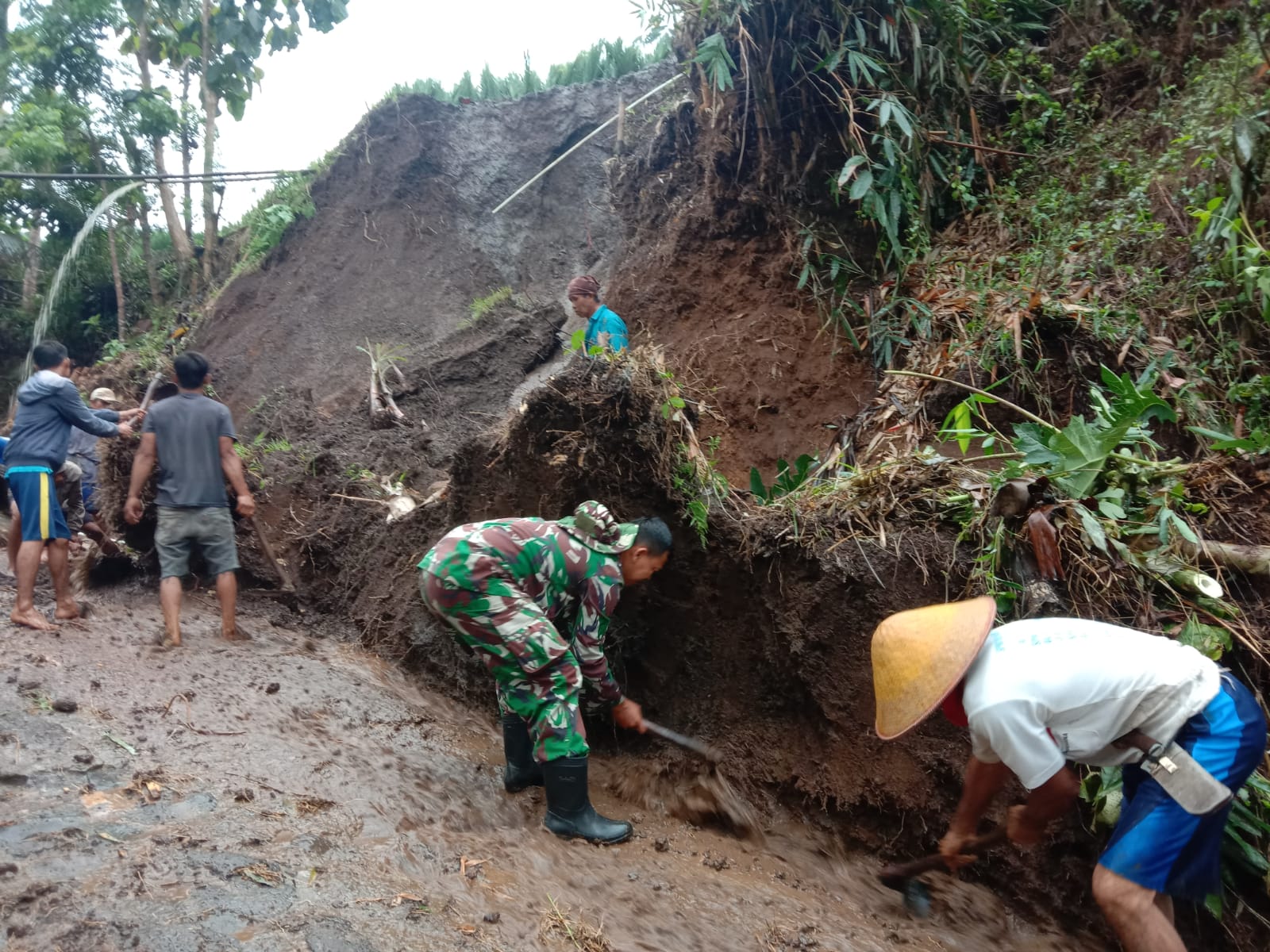 Hujan Deras Sebabkan Tanah Longsor dan Pohon Tumbang di Tonjong dan Sirampog Brebes 