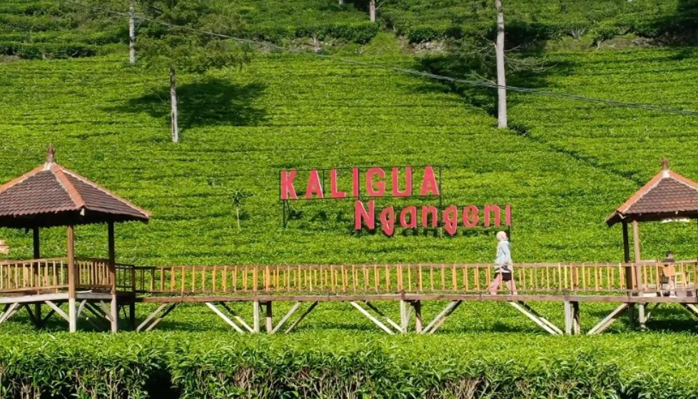 7 Wisata Keluarga di Brebes yang Wajib Dikunjungi, Seru dan Murah!