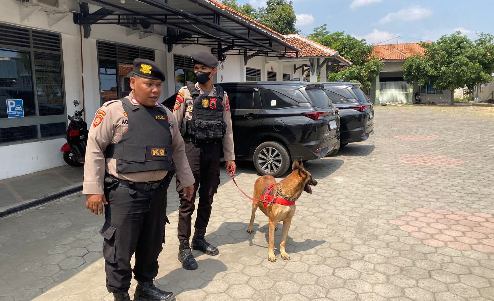 Kantor Penyelenggara dan Gudang Logistik Pemilu 2024 di Tegal Disterilisasi Libatkan Anjing Pelacak