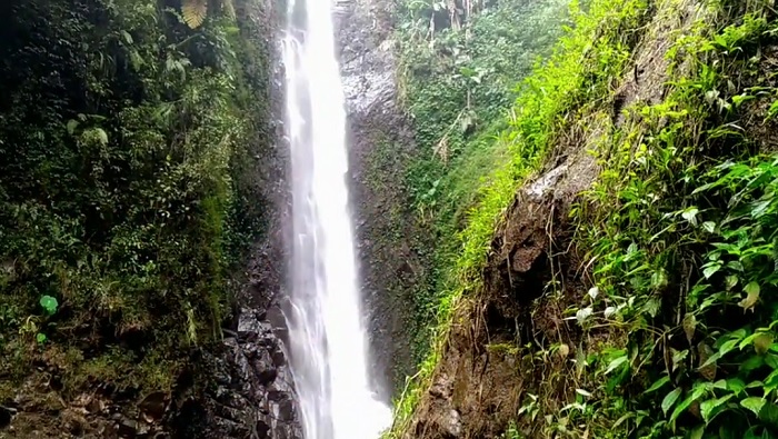 4 Curug di Tegal yang Akses Jalannya Mudah, Ramah untuk Pelancong yang Baru Pertama Datang