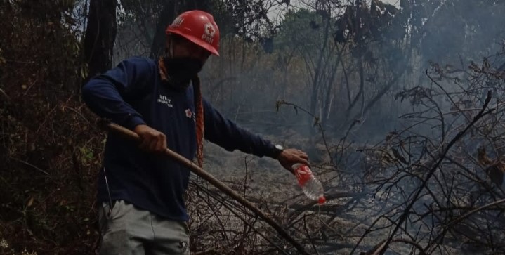 Sempat Hujan, Kebakaran Hutan di Gunung Slamet Kabupaten Tegal Padam Lebih Cepat  
