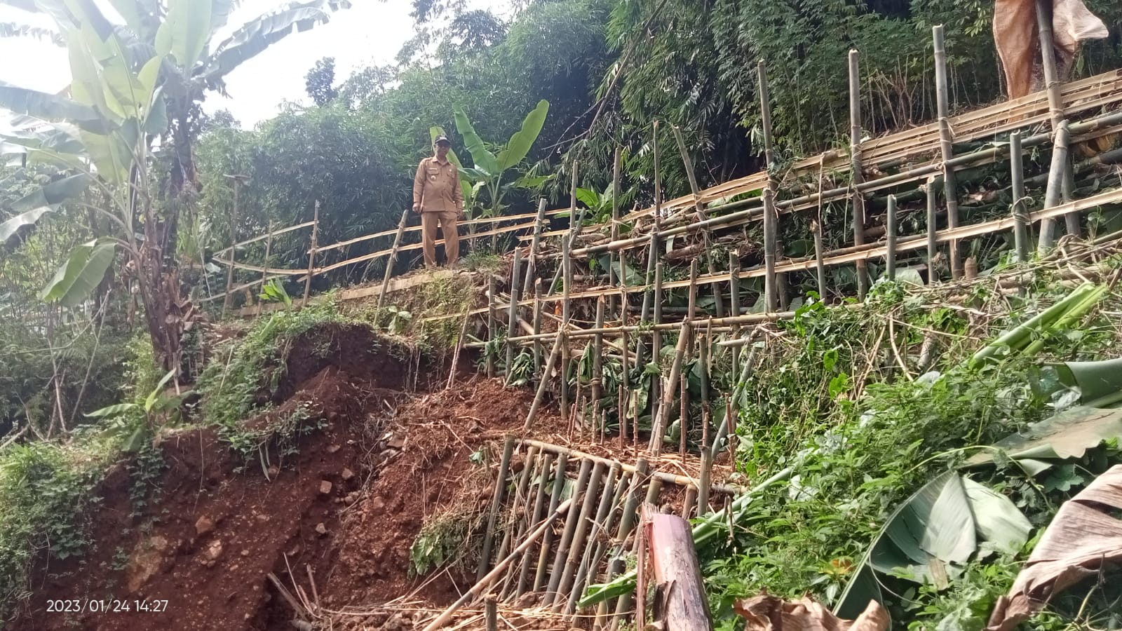 Tebing Jalan Tinggi 15 Meter Panjang 10 Meter di Desa Luwijawa Kabupaten Tegal Longsor
