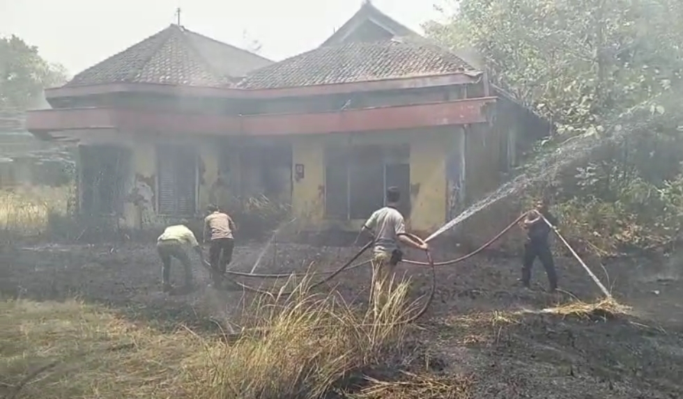 4 Hektare Lahan di Rumah Dinas PG Jatibarang Brebes Tebakar