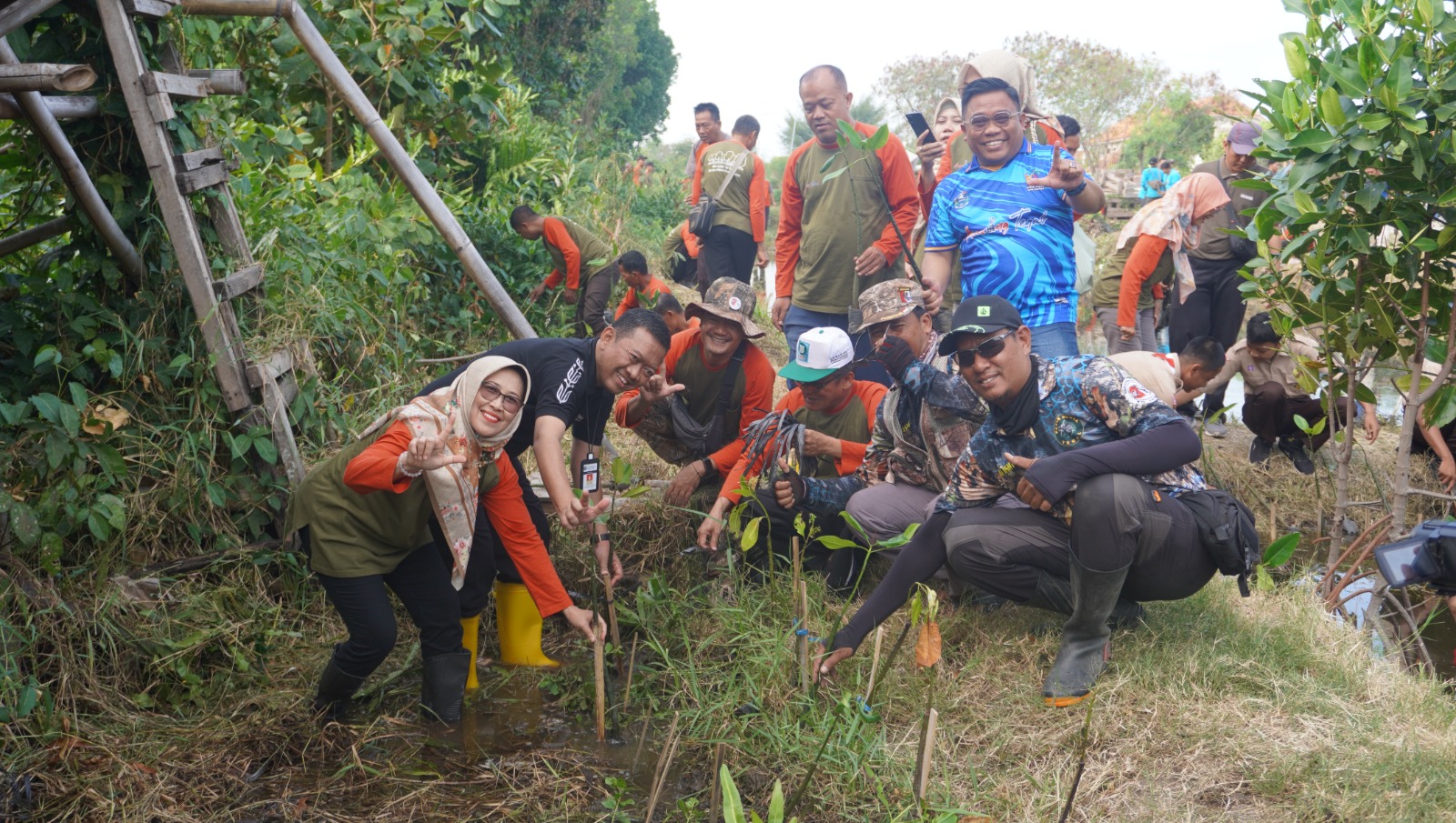 Komitmen dalam Pelestarian Lingkungan, Pemkot Tegal Tanam 1.500 Mangrove di Bantaran Kali Kemiri