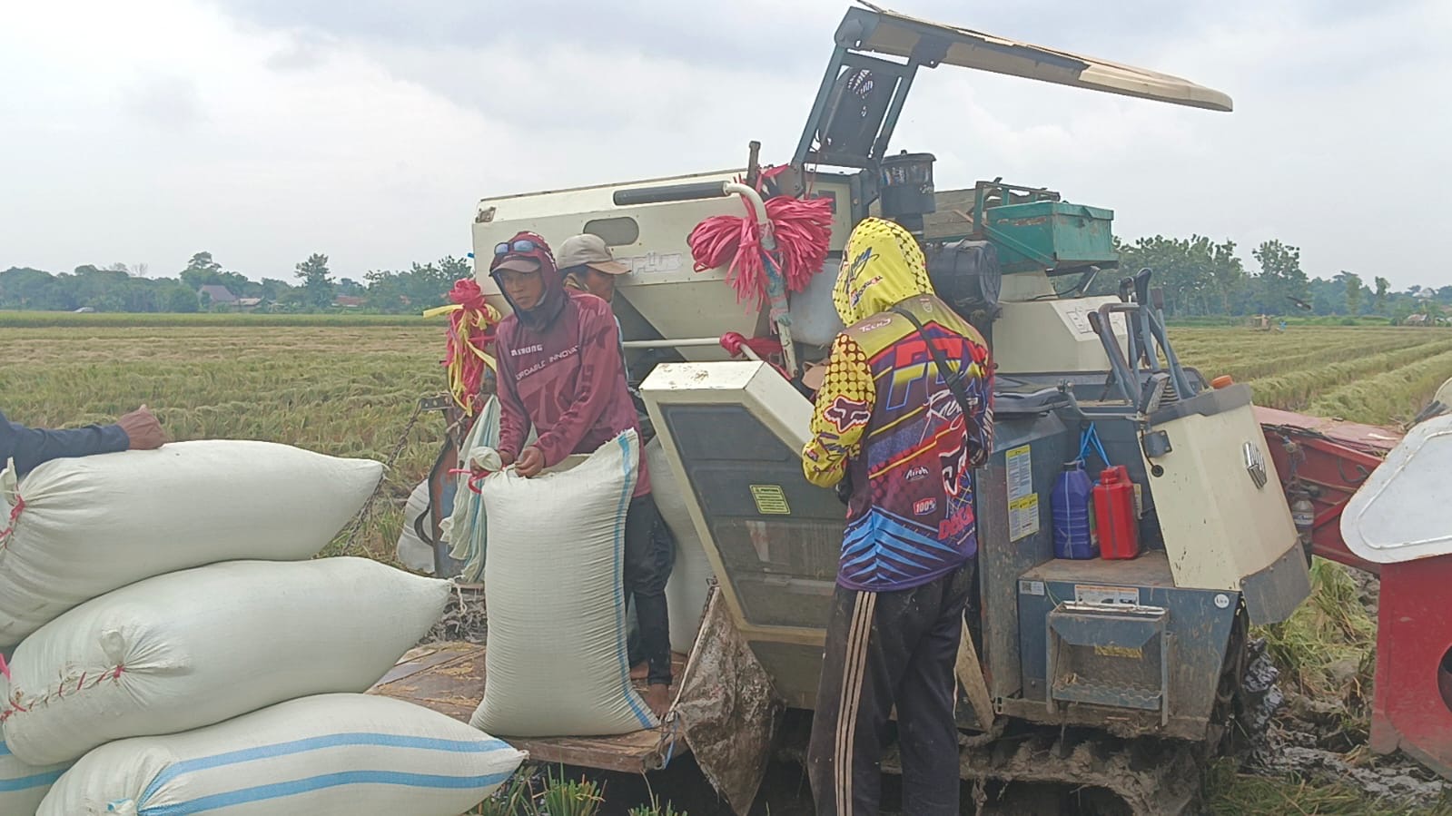 Target Serapan Beras Bulog Tegal 2025 Kurang 28,5 Persen