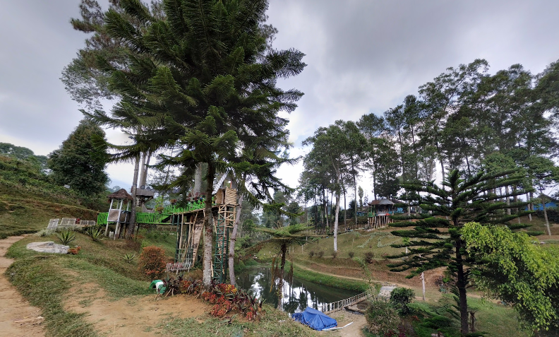 Pesona Kebun Teh Pagilaran Batang, Wisata Alam Mirip Negeri Dongeng