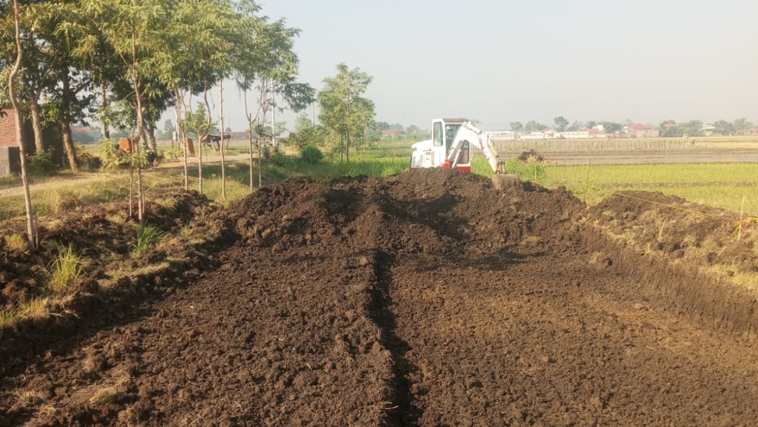 Sukses Budidaya Maggot dengan Manfaatkan Sampah MBG, Formagi Mulai Kembangkan Ternak Lele