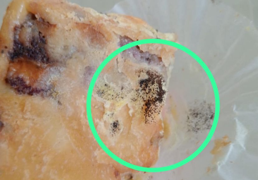 Viral Menu MBG Ramadan di Brebes Berjamur, SPPG Gandasuli Minta Maaf