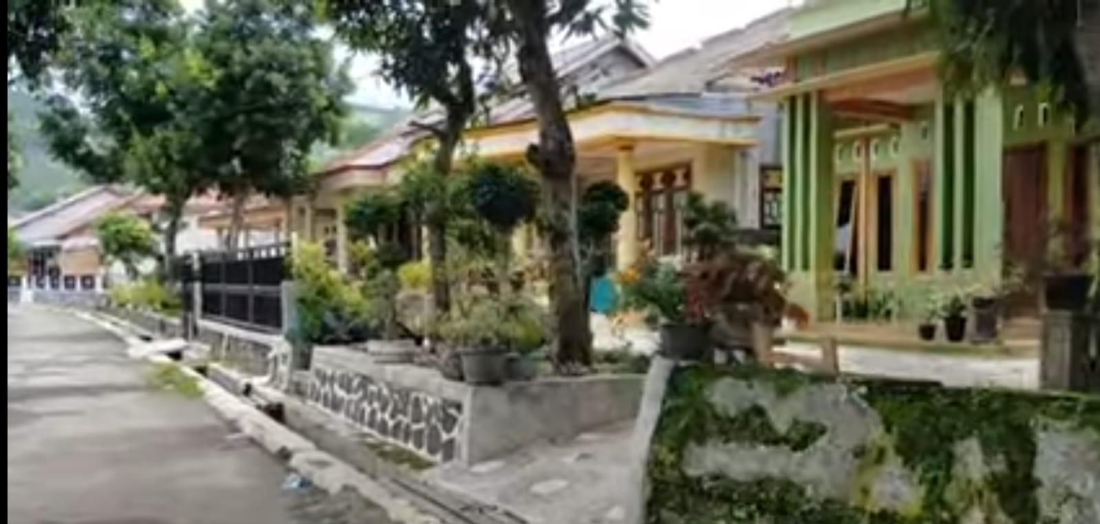 Kampung Miliarder Para Sultan di Tegal Ini Ada di Tengah Hutan dan Terpencil, Rumah Mewah Tapi Kosong