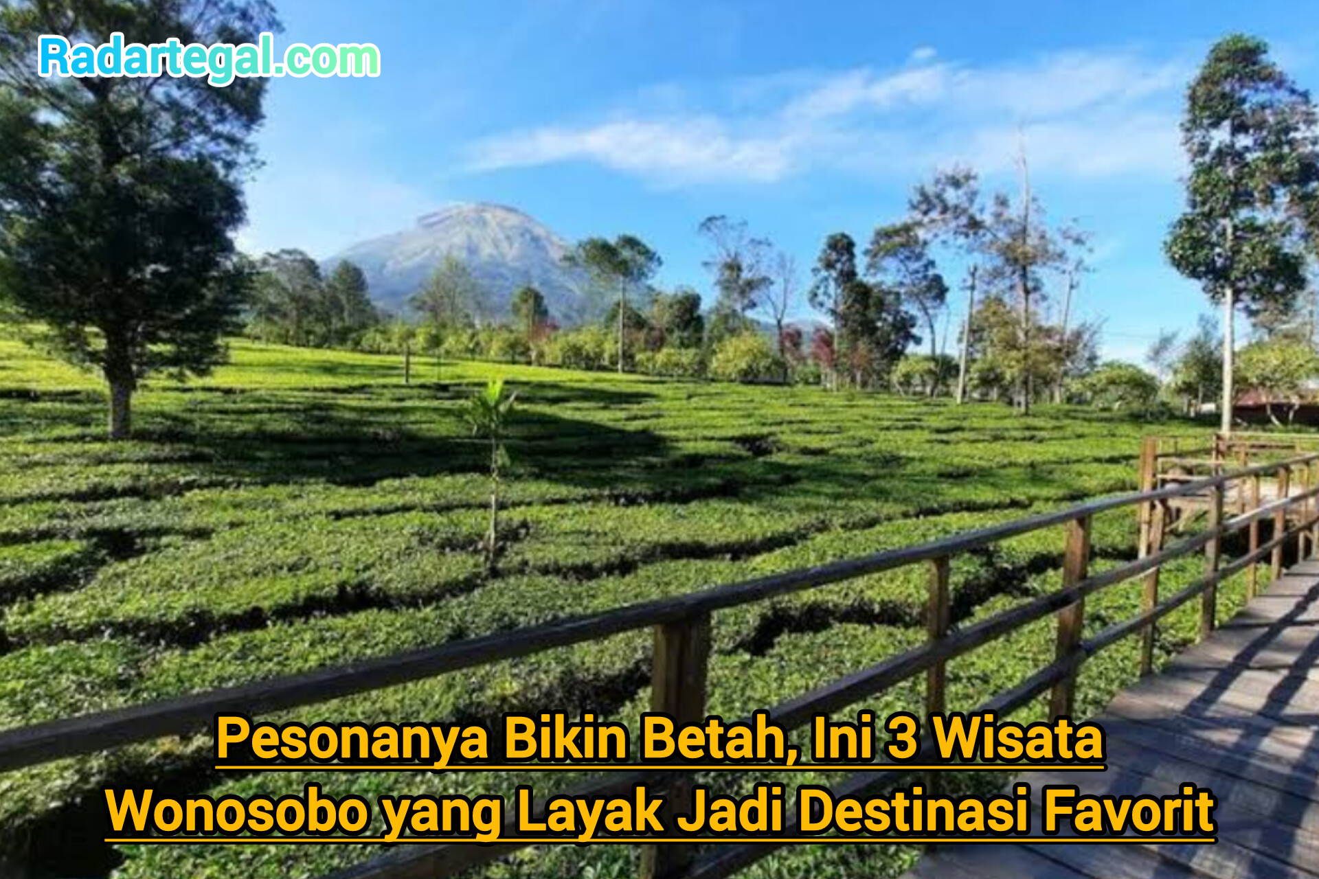 Pesonanya Bikin Betah, 3 Wisata Wonosobo Ini Layak Jadi Destinasi Favorit