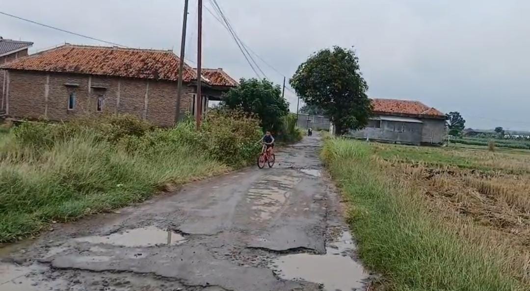  Akses Jalan di Karangdawa Tegal Rusak dan Penuh Lubang, Warga Terpaksa Memutar 2 Kali  