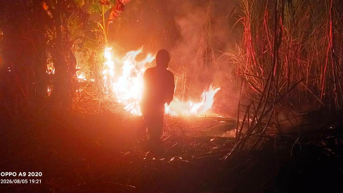 Kecerobohan Bakar Sampah Pemicu Tiga Kebakaran Lahan di Tegal
