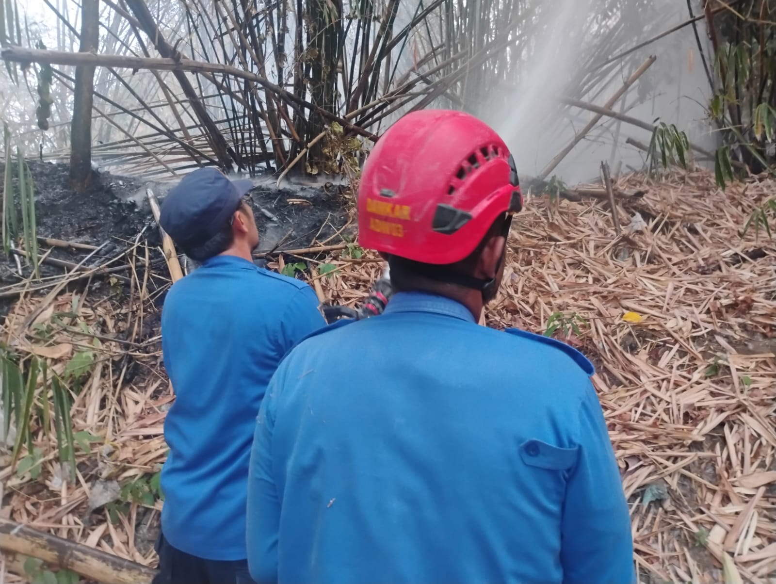 Sehari Tiga Kali Kebakaran Lahan di Tegal, Damkar Kerja Ekstra!