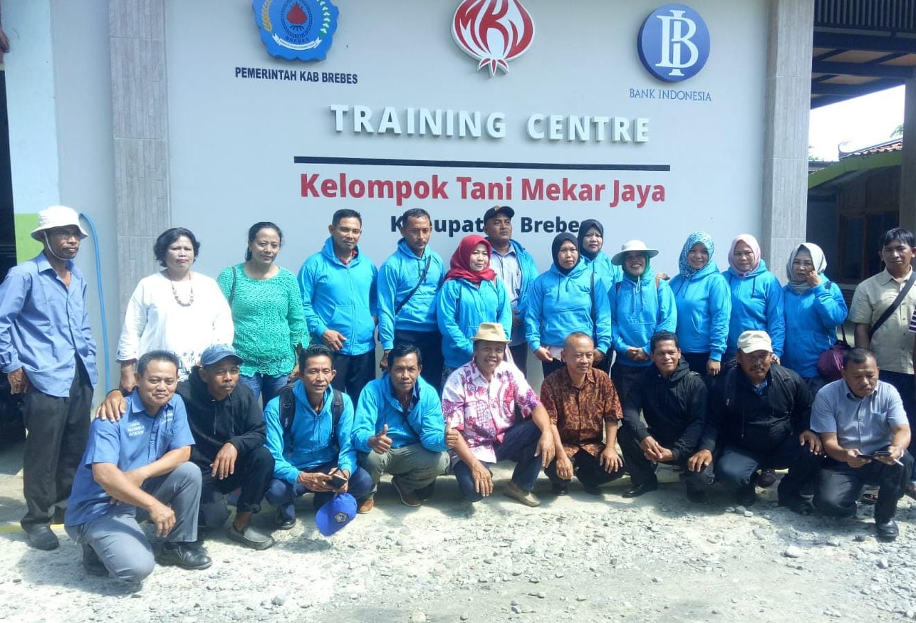 Mandiri Berdikari dan Berkesinambungan, Cara Kelompok Tani Mekar Jaya Wujudkan Klaster Bawang Merah di Brebes 