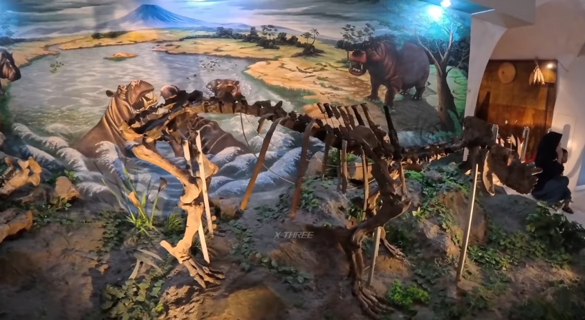 3 Museum Purbakala di Jawa Tengah Buat Belajar Soal Kehidupan Purba