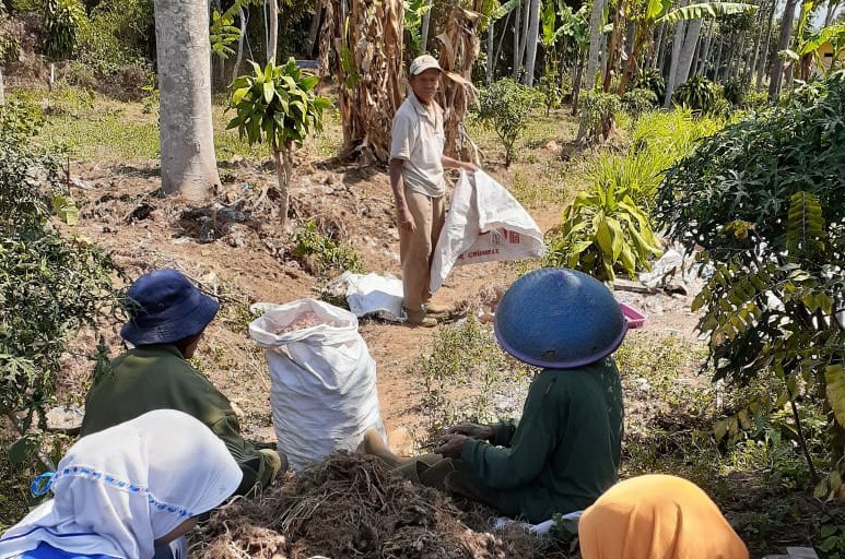 Bikin Nyesek! Harga Hancur dan Tidak Laku Terjual, Petani Jahe Pemalang Hanya Bisa Nangis