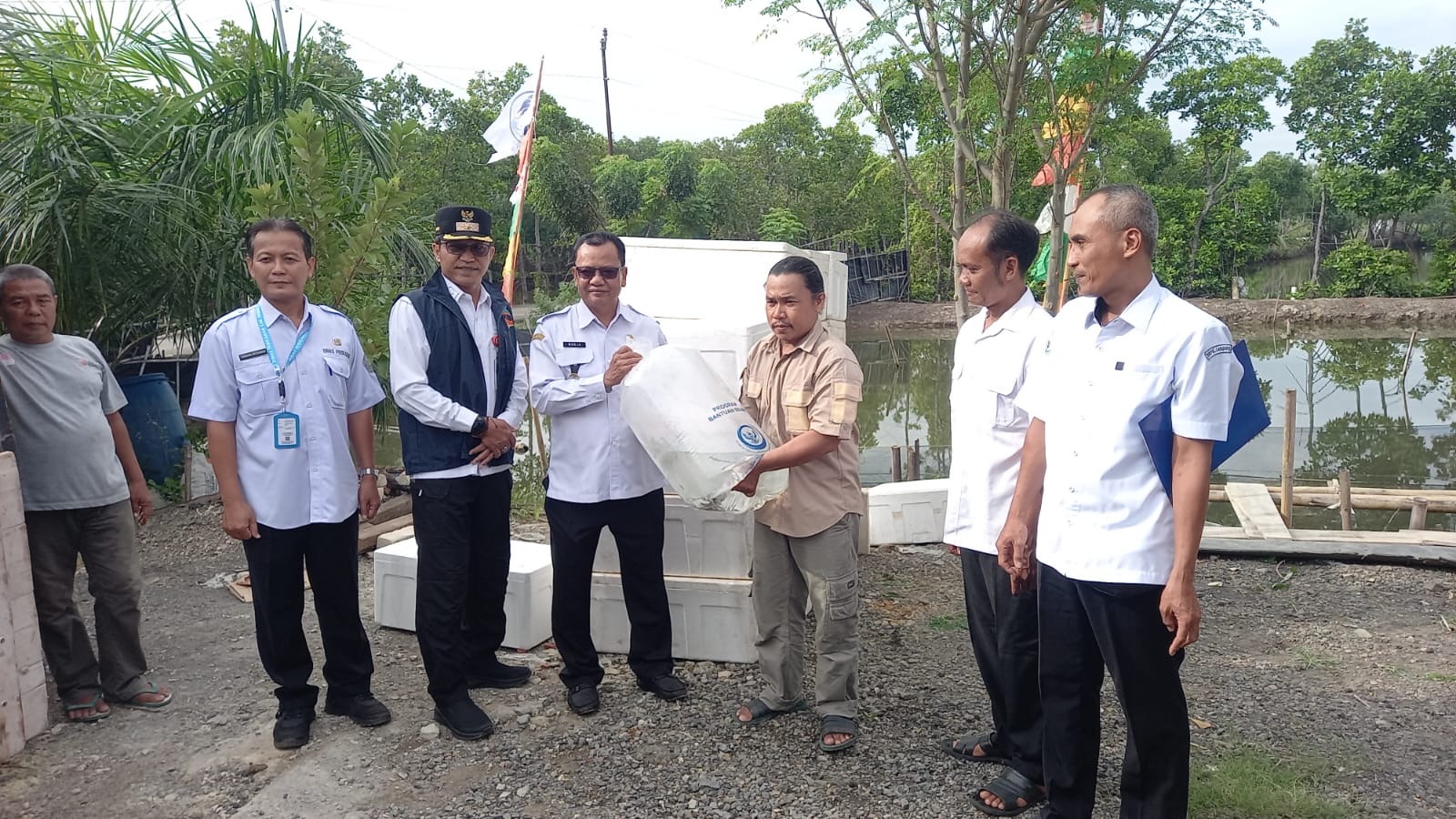 Pemkab Brebes Serahkan 105.000 Ekor Bantuan Ikan Kakap ke 3 Pokdakan