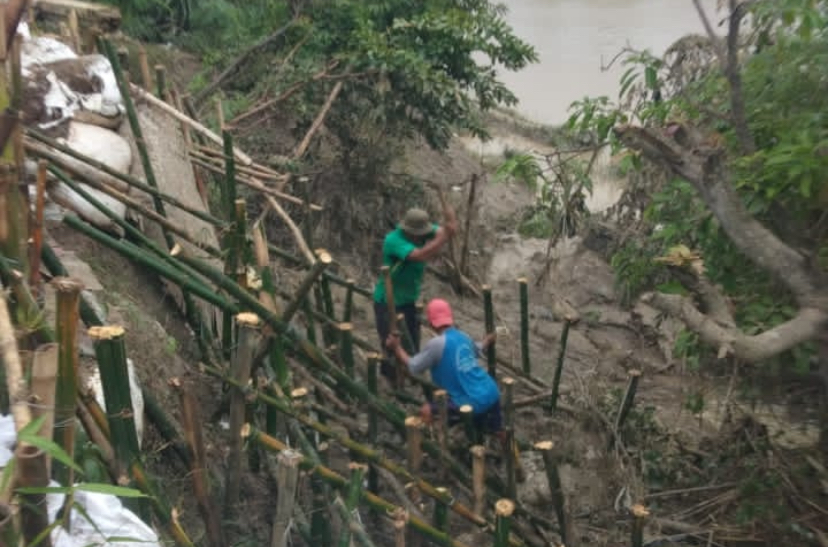 Tanggul Cisanggarung Kritis, Pemukiman Warga Losari Brebes Terancam
