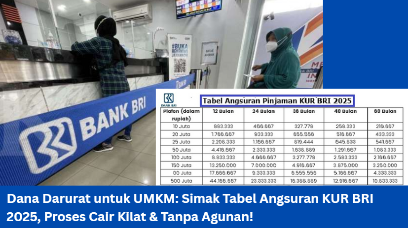 Usaha Macet Gara-gara Kurang Modal? Ini Simulasi Tabel Angsuran KUR BRI 2025, Bisa Cair dalam 3 Hari!
