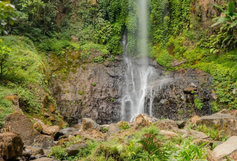 3 Curug di Tegal yang Diklaim Angker, Berani ke Sini?