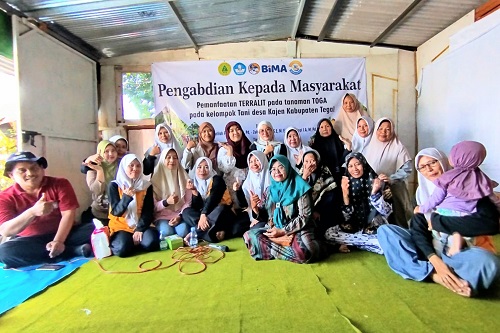 PKM STKIP NU Tegal Aplikasikan Pupuk Organik Terralit Pada Tanaman Toga di Desa Kajen Talang