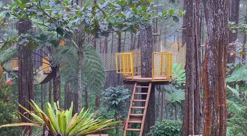 5 Wisata Alam Hits dan Instagramable di Purworejo dengan Keunikannya